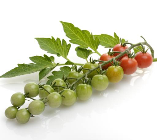 фрукты, овощи, помидоры, помидоры, зеленый, красный, листья, питание Svetlana Foote (Saddako123)