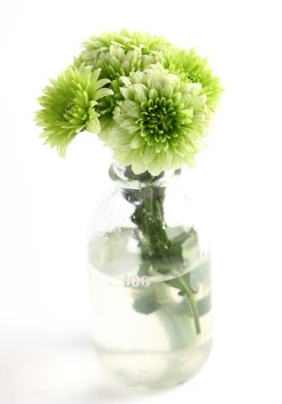 растение, цветок, зеленый, вода, трубки, ваза Kerstin Aust - Dreamstime