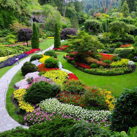 сад, цветы, цвета, зеленый Photo168 - Dreamstime