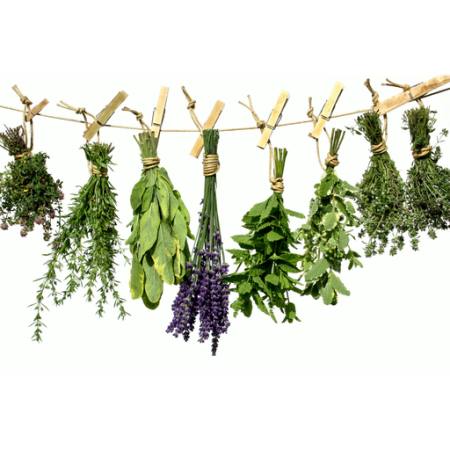 растения, зеленый, размахивая, веревка, цветок, цветы Angelamaria - Dreamstime