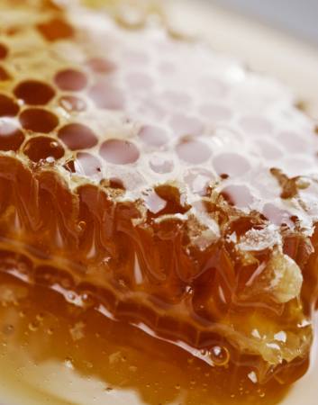 пчелы, пчелы, мед Liv Friis-larsen - Dreamstime