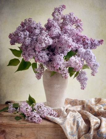 цветы, ваза, фиолетовый, стол, ткань Jolanta Brigere - Dreamstime