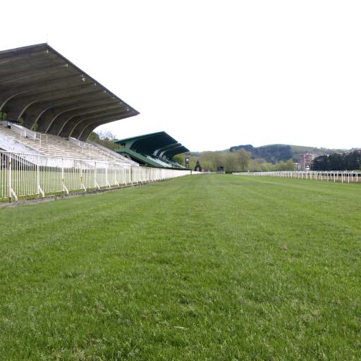 поле, зеленый, трава, стадион, арена Nanisub