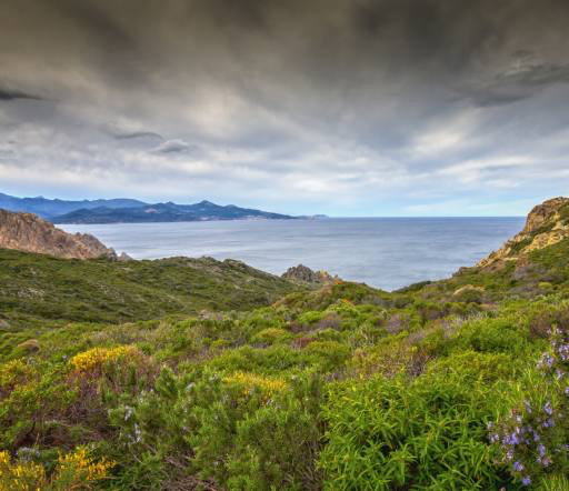 природа, пейзаж, море, океан, зеленый, небо, гроза Jon Ingall (Joningall)