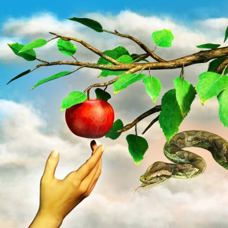 яблоко, змея, ветка, зеленый, листья, рука Andreus - Dreamstime