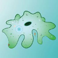 Pixwords изображение с клеток, клеточный, зеленый, слизь, пятно Designua - Dreamstime