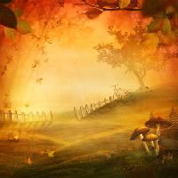 сезон, огонь, грибы, поле, красный, листья, забор Mythja - Dreamstime