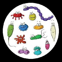 Pixwords изображение с насекомые, микроскоп, слизь, вирус Dedmazay - Dreamstime