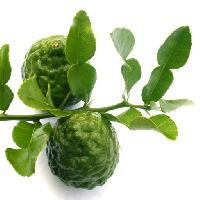 Pixwords изображение с растение, фрукты, зеленый, ветка, листья, лист Surut Wattanamaetee (Studio2013)