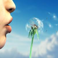 Pixwords изображение с лицо, человек, растение, губы, синий, небо, цветы Andreus - Dreamstime