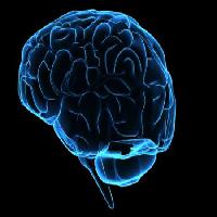 Pixwords изображение с головы, мужчина, женщина, думать, мозги Sebastian Kaulitzki - Dreamstime