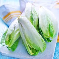 еда, есть, растительное, овощи, зеленый, салат, завод Tycoon751