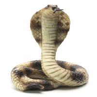 Pixwords изображение с змея, животное, Lightzoom - Dreamstime