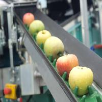 Pixwords изображение с яблоки, продукты питания, машина, завод Jevtic