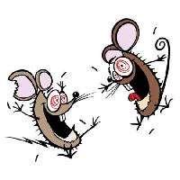 Pixwords изображение с мыши, мыши, безумные, счастливые, два Donald Purcell - Dreamstime