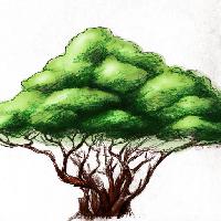 дерево, рисунок, природа Alexandr Mitiuc (Alexmit)