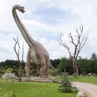динозавр, парк, дерево, коса, животных Caesarone