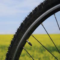 велосипед, колесо, зеленый, трава, поле, природа Leonidtit
