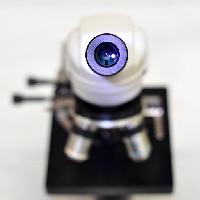 объектив камеры, микроскопа catiamadio