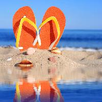 Pixwords изображение с сандалии, обувь, обувь, пляж, раковины, раковины, вода, песок Fantasista