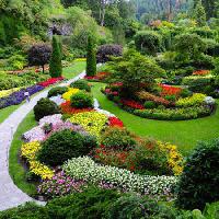 сад, цветы, цвета, зеленый Photo168 - Dreamstime