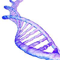 Pixwords изображение с ВОПОГ, ген, человек, кровь, лиловый Sebastian Kaulitzki - Dreamstime