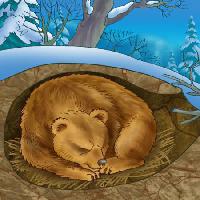 Pixwords изображение с медведь, зима, сон, холод, природа Alexander Kukushkin - Dreamstime