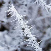 мороз, лед, зима, шип Haraldmuc - Dreamstime