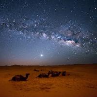 Pixwords изображение с небо, ночь, , пустыня, верблюды, звезды, луна Valentin Armianu (Asterixvs)