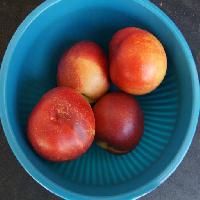 Pixwords изображение с миска фруктов, синий, едят, персики Westhimal