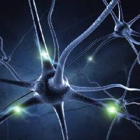 синапс, голова, нейрон, соединения Sashkinw - Dreamstime
