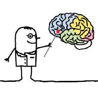 Pixwords изображение с головного мозга, врач, указатель N.l - Dreamstime