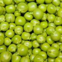 Pixwords изображение с фрукты, горох, зеленый, есть, питание Brad Calkins - Dreamstime