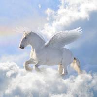 Pixwords изображение с конные, облака, муха, крылья Viktoria Makarova - Dreamstime