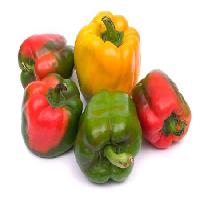 Pixwords изображение с овощи, едят, продукты питания, красный, зеленый, желтый Niderlander - Dreamstime