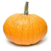 Pixwords изображение с Хэллоуин, оранжевый, фрукты, растительное Niderlander - Dreamstime