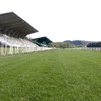 поле, зеленый, трава, стадион, арена Nanisub