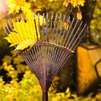 Pixwords изображение с в осенний, листьев, листья, желтый, лист, метла метлой Jarihin