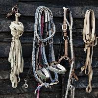 Pixwords изображение с конные веревки, канаты, объекты Vladimir Lukovic (Radelukovic)