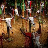Pixwords изображение с головки головкой, череп, черепа, кровь, деревья, животные Victor Zastol`skiy - Dreamstime