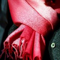 Pixwords изображение с красный, ткань, одежда, шарф, кнопка Clarita
