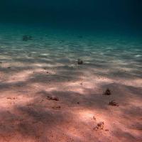 Pixwords изображение с море, морское дно, вода, свет, лучи, песок Thomas Eder (Thomaseder)