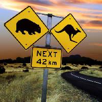 Pixwords изображение с признаки, медведь, cangoroo, рядом, дорога, Виль Ron Sumners - Dreamstime