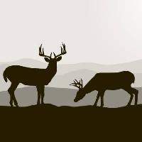Pixwords изображение с олень, олени, черные, пейзаж, животные, животные Dagadu - Dreamstime