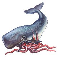 Pixwords изображение с рыба, животное, кит, кальмары Palych