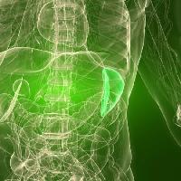 Pixwords изображение с орган, человек, человек, Sebastian Kaulitzki - Dreamstime