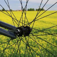 Pixwords изображение с колесо, земля, трава, поле, велосипед, желтый Leonidtit
