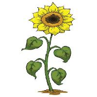 Pixwords изображение с желтый, растут, цветок, зеленый, завод Dedmazay - Dreamstime