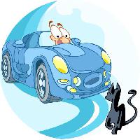 автомобиль, привод, кошка, животное Verzhh