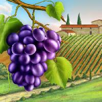 Pixwords изображение с виноград, двор, зеленый, лист, виноградной лозы, ферма Andreus - Dreamstime